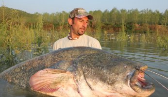 Noodling Catfish in Oklahoma