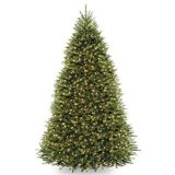 National Tree Dunhill Fir