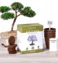 Nature's Blossom Bonsai Garden Seed Starter Kit