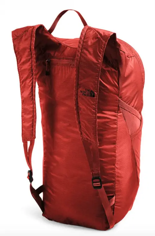 The North Face Flyweight bag