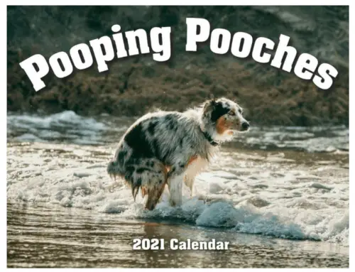 2021 Pooping Pooches