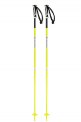 Salomon Arctic