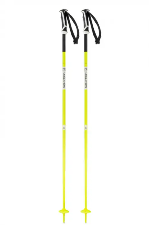 Salomon Arctic Ski Pole