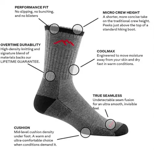 Darn Tough Coolmax Micro Crew Cushion Socks - Men's