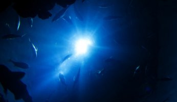 Best Dive Lights Reviewed 2018 GearWeAre
