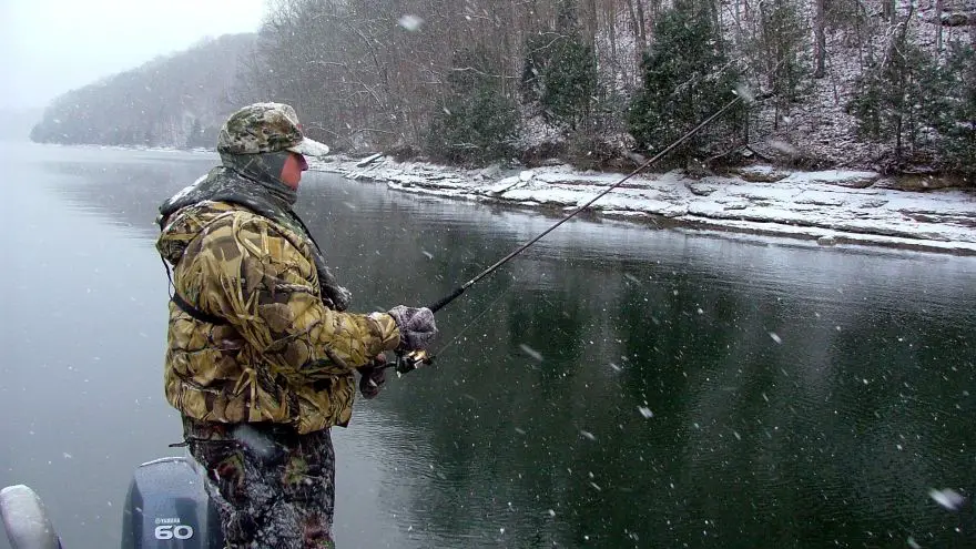 What Happens To Bass When It Gets Cold? What Happens To Bass When It Gets Cold?