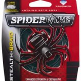 Spiderwire Braided Stealth
