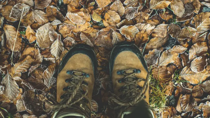 How to Pick Shoes for Hiking 2019 GearWeAre