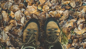 How to Pick Shoes for Hiking 2019 GearWeAre