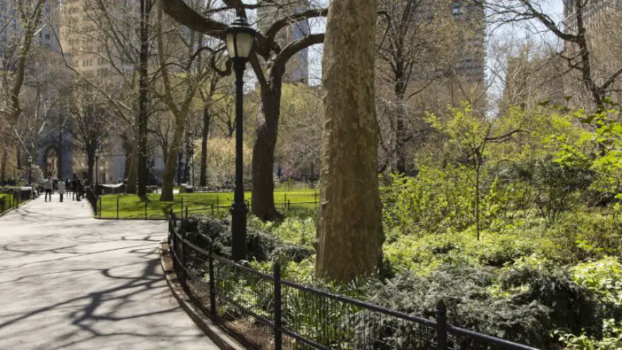 Urban Parks that are amazing to visit!