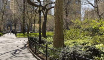 Urban Parks that are amazing to visit!