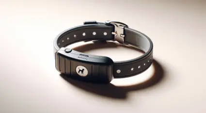 Innovative tech solutions for keeping dogs safe outdoors