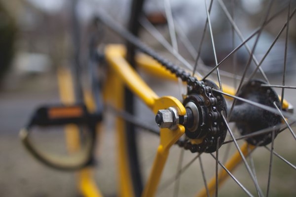 bike-trailers