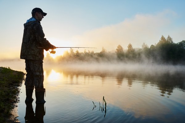 our review of the best fishing jigs
