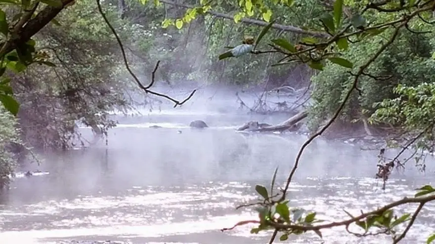 Creek Mouth Fishing: Tips and Tricks