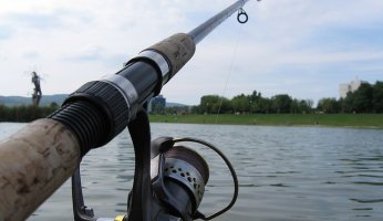 Catch and Release Tips