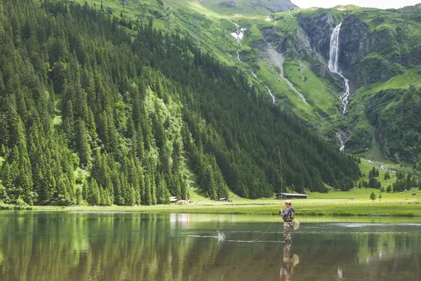 a detailed comparison of the best fishing waders