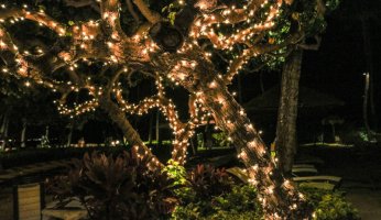Best Outdoor Christmas Lights Reviewed 2018 GearWeAre