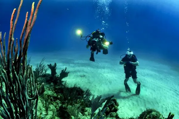 10 Best Underwater Cameras Reviewed 2018 GearWeAre