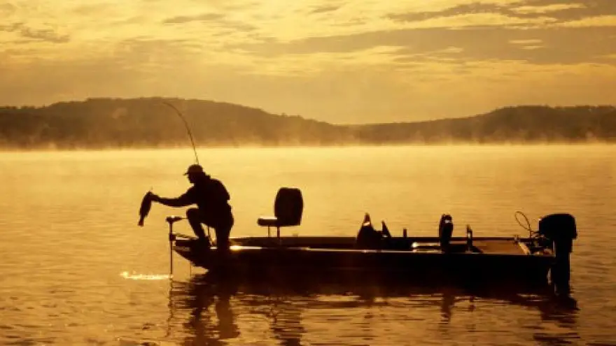 Night Fishing for Channel Catfish