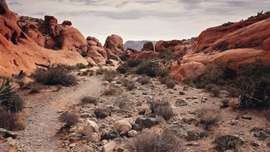 BLM Land Explained in Depth | GearWeAre