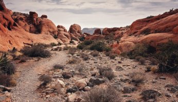 BLM Land Explained in Depth | GearWeAre