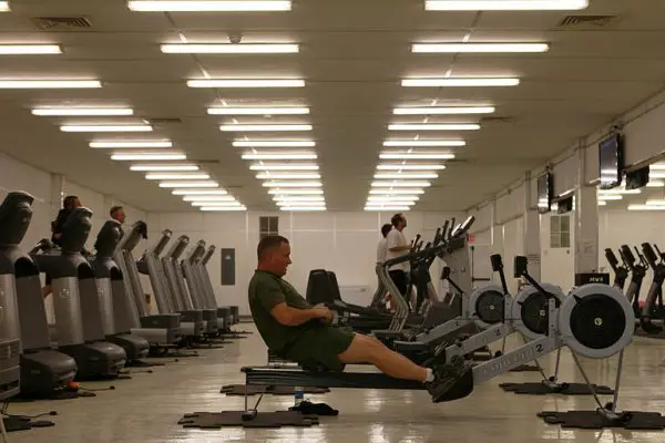 Rowing machines reviewed gearweare