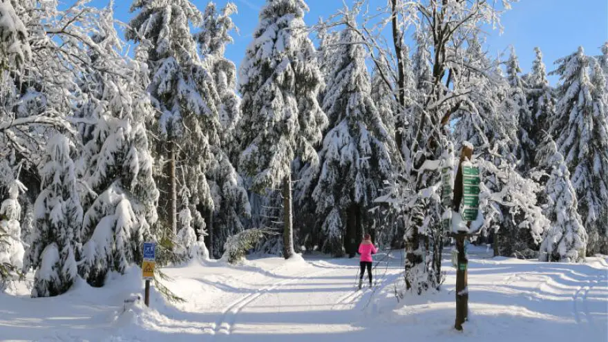 Great Places to Cross Country Ski in the US 2019 GearWeAre