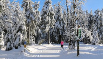 Great Places to Cross Country Ski in the US 2019 GearWeAre