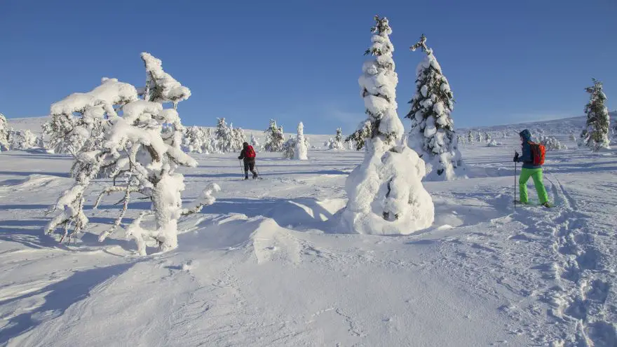 5 best winter alternatives to skiing