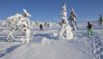 5 best winter alternatives to skiing