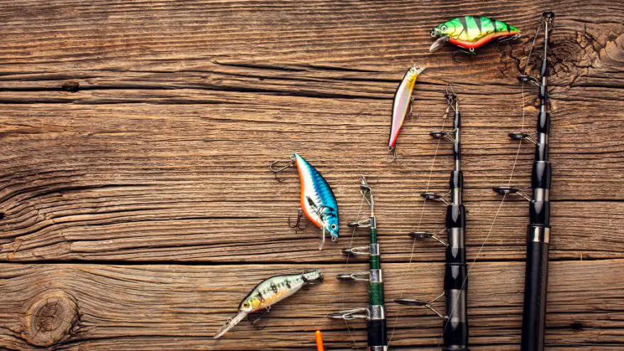 How to Store Fishing Rods: 8 Keys to Know!