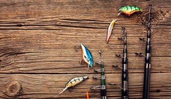 How to Store Fishing Rods: 8 Keys to Know!