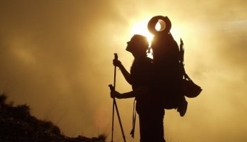 A Beginner's Guide: The Ins and Outs of Trekking Poles GearWeAre