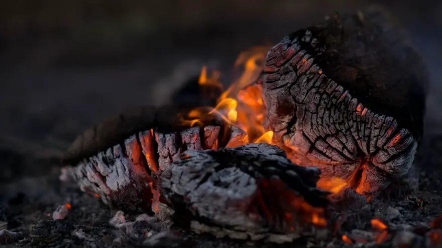 Cooking over coals - by Bryce Watts