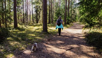 How to Easily Find Dog Friendly Hiking Trails